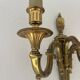 3-arm wall sconce in gilded bronze