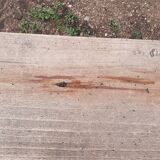 Child school bench