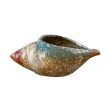 Vintage shell ceramic