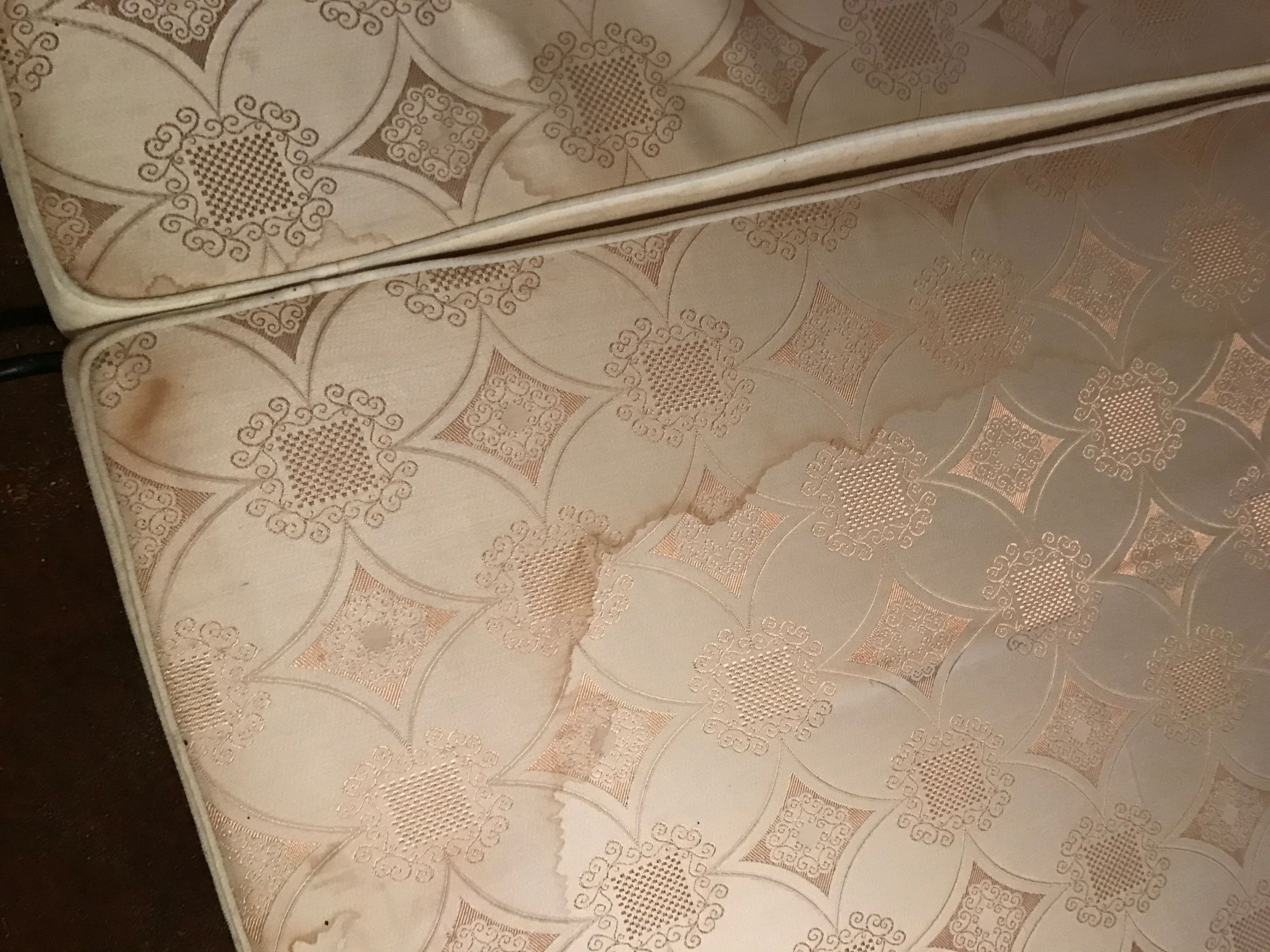 Anemone bed by Bernard Gauvin 1972