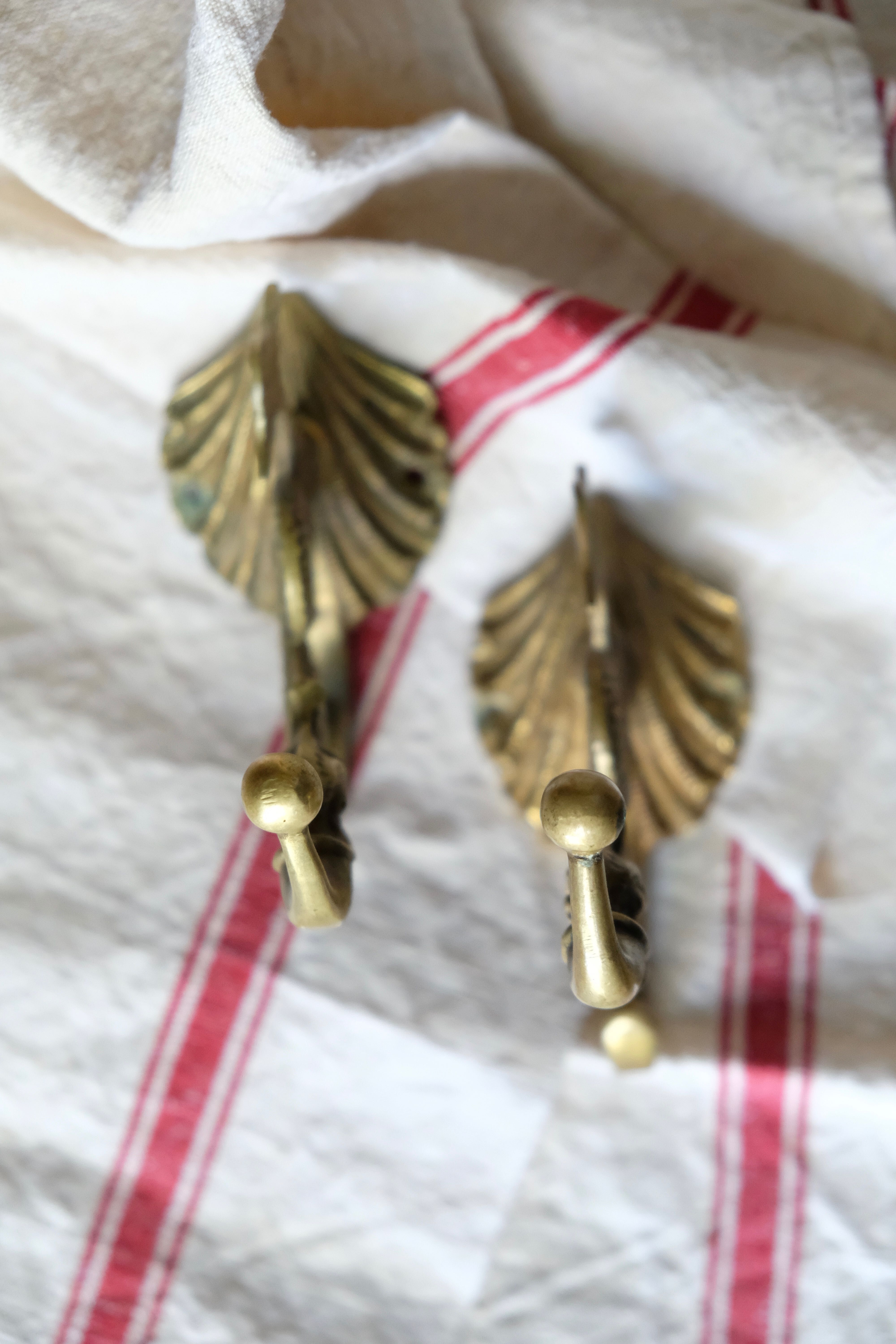 Pair of solid brass double patères