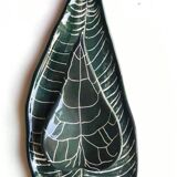 Plat Anthurium