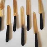 Fruit cutlery in blond and brown horn