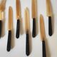 Fruit cutlery in blond and brown horn