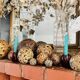 13 old Takraw balls
