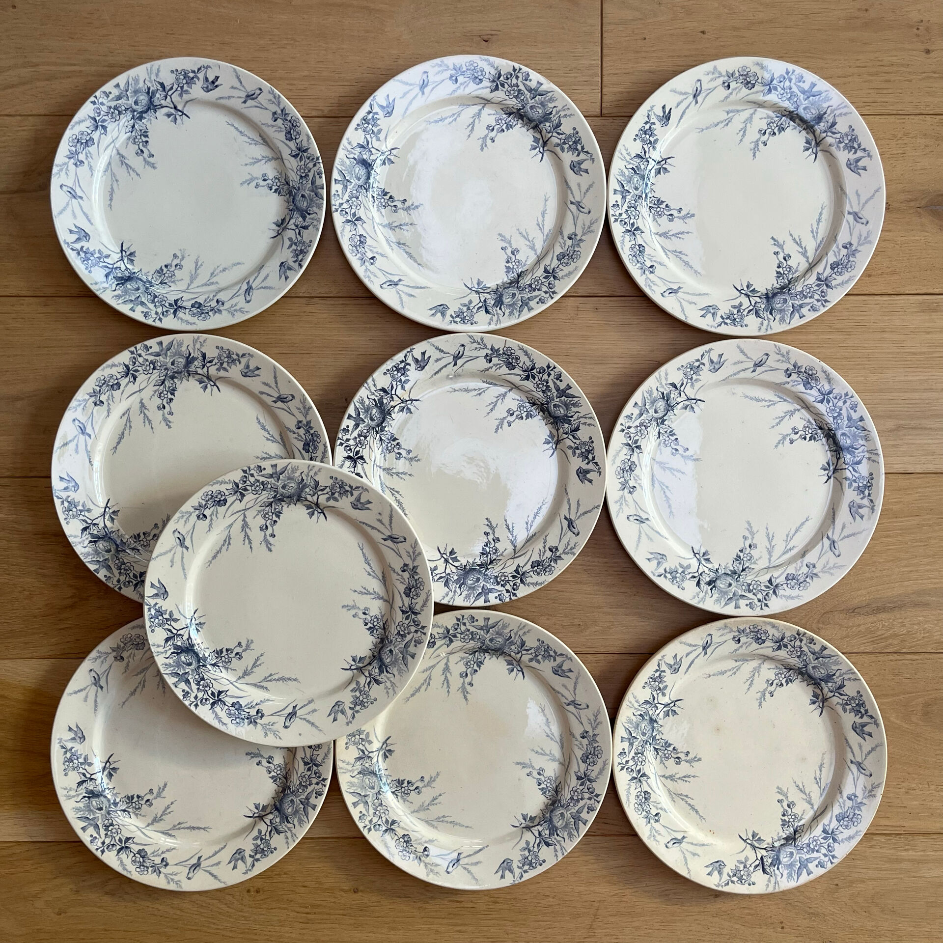 10 plates Terre de Fer Linotte