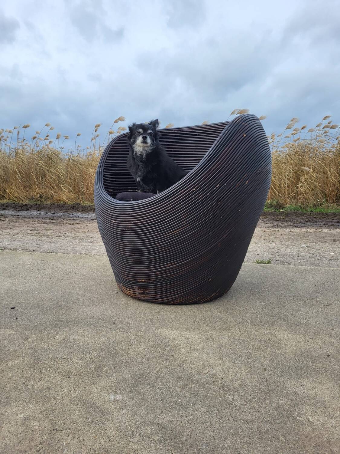 Vintage MCM pencil reed egg pod chair - rattan bamboo