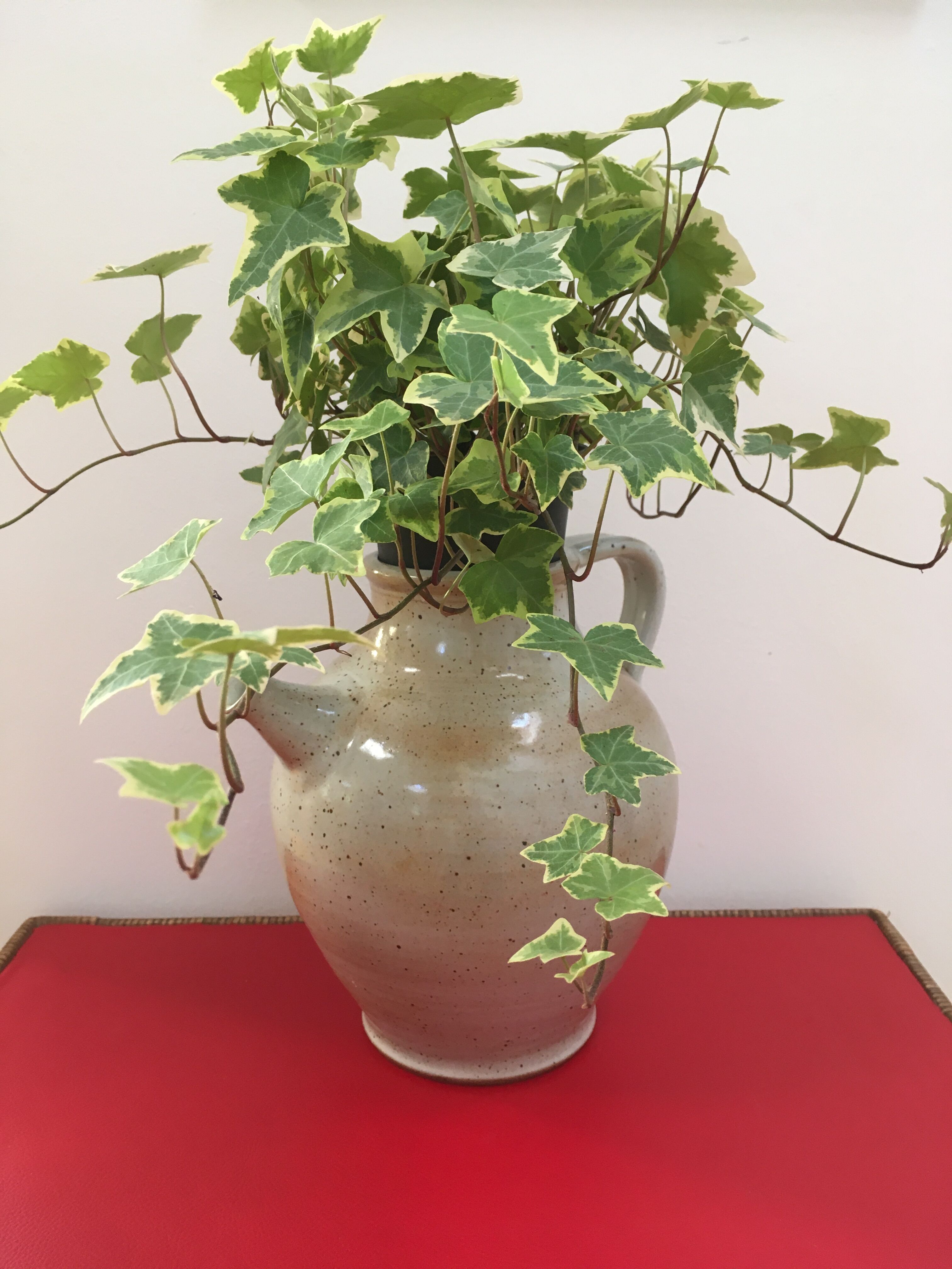 Pitcher of the Pottery Sandstone of the Marais