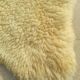 Carpet in Nature Skin Long-haired Sheepskin 132 cm x 80 cm x 9 cm thick