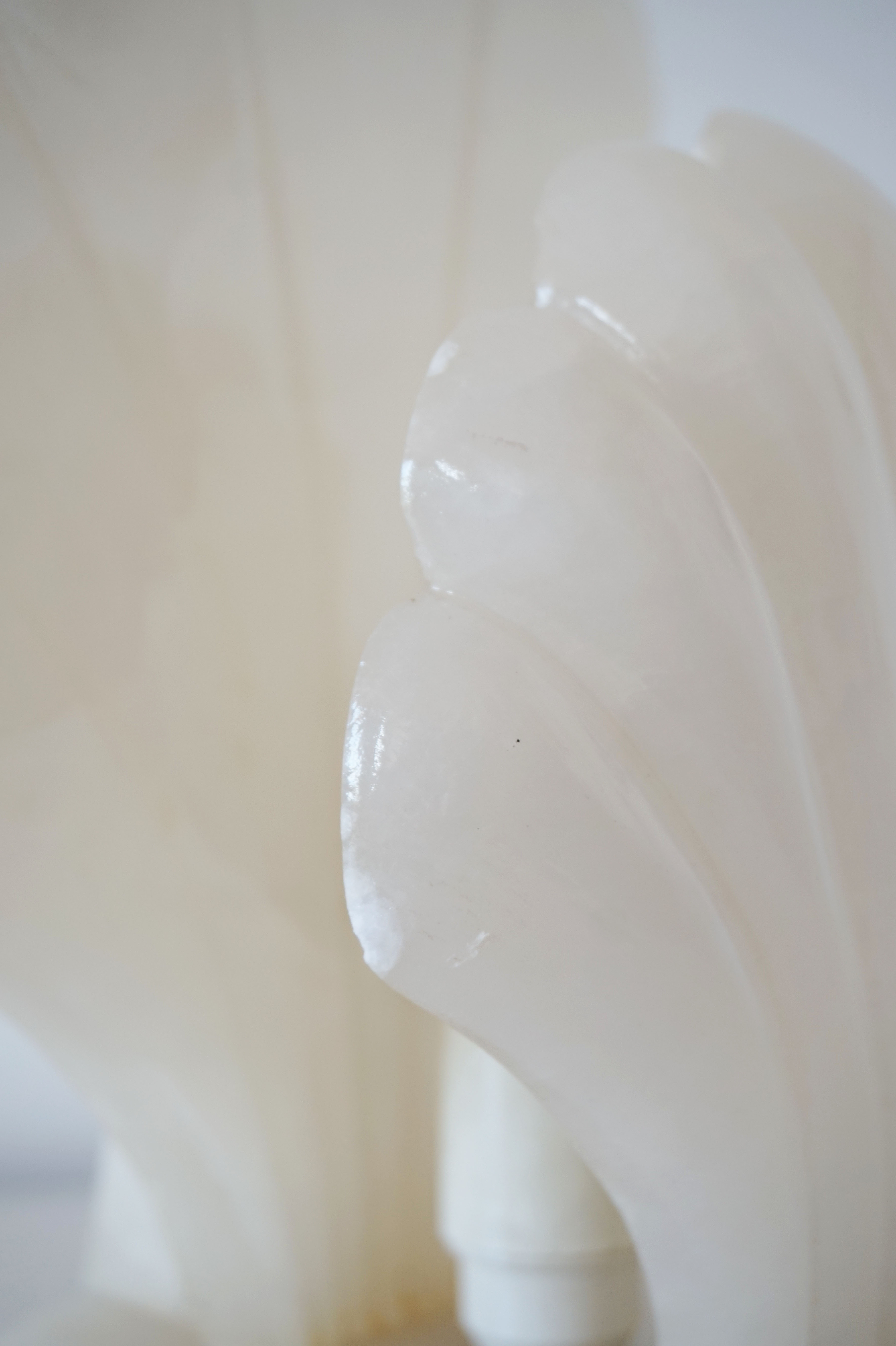 Alabaster shell lamp