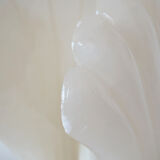 Alabaster shell lamp