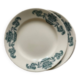 6 assiettes plates Lutèce Longchamp terre de fer ancienne