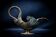 Bronze patinated pocket emptier with swan decoration by Max Le Verrier.
