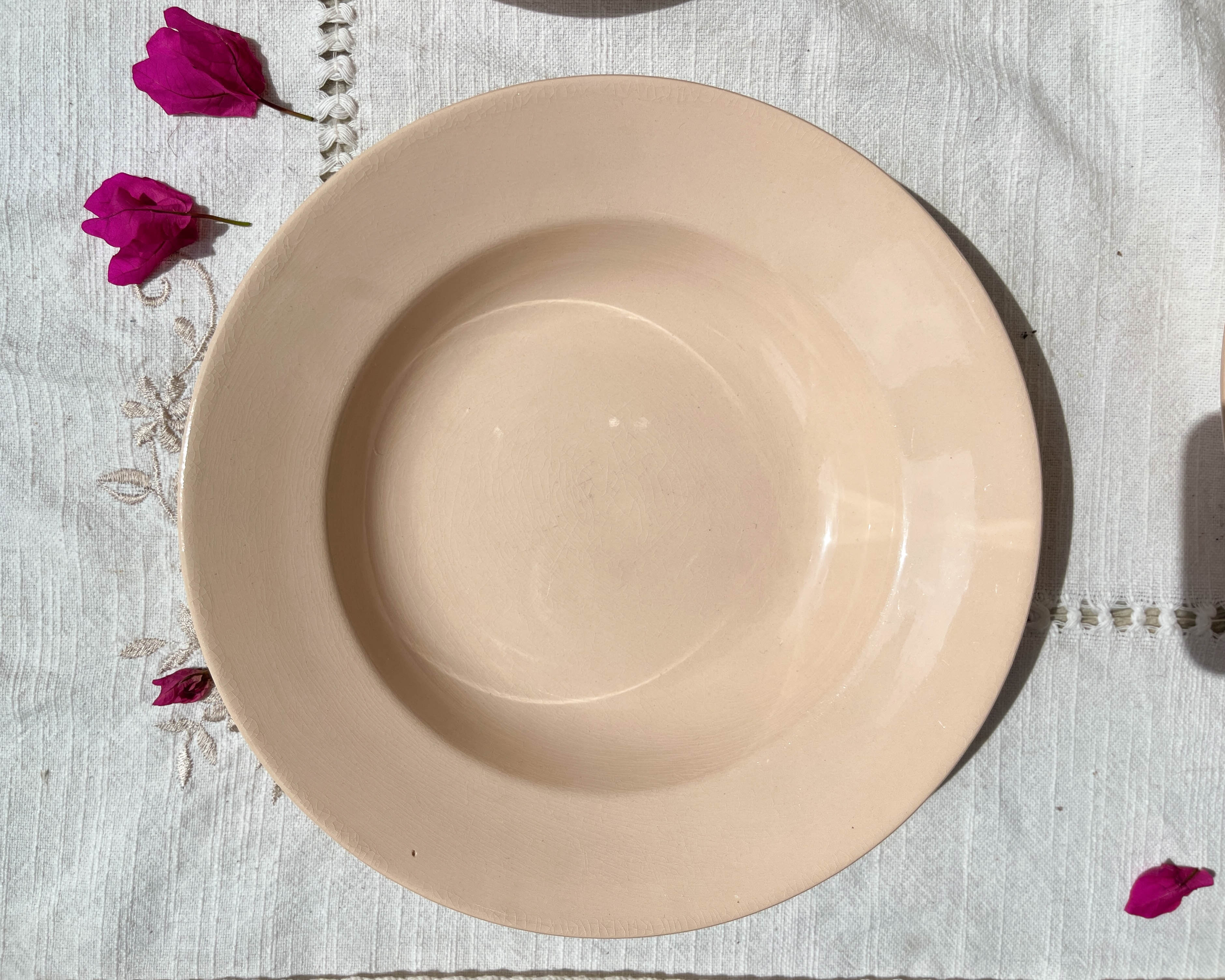 6 assiettes creuses rose digoin sarreguemines