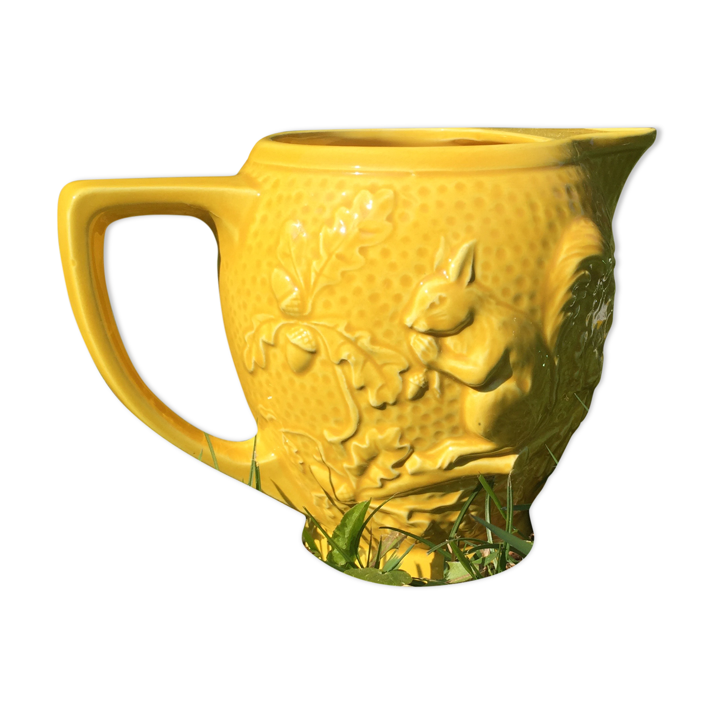 Yellow squirrel pitcher
