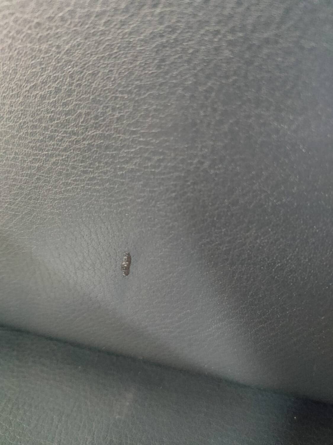 Bron armchair by Ludwig Mies van der Rohe for Knoll