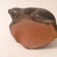 Ancient inuit seal sculpture in stone