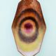 Enameled Copper Vide-Poche / Decorative Bowl Ascribable to Paolo De Poli