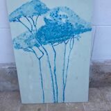 Basin pine