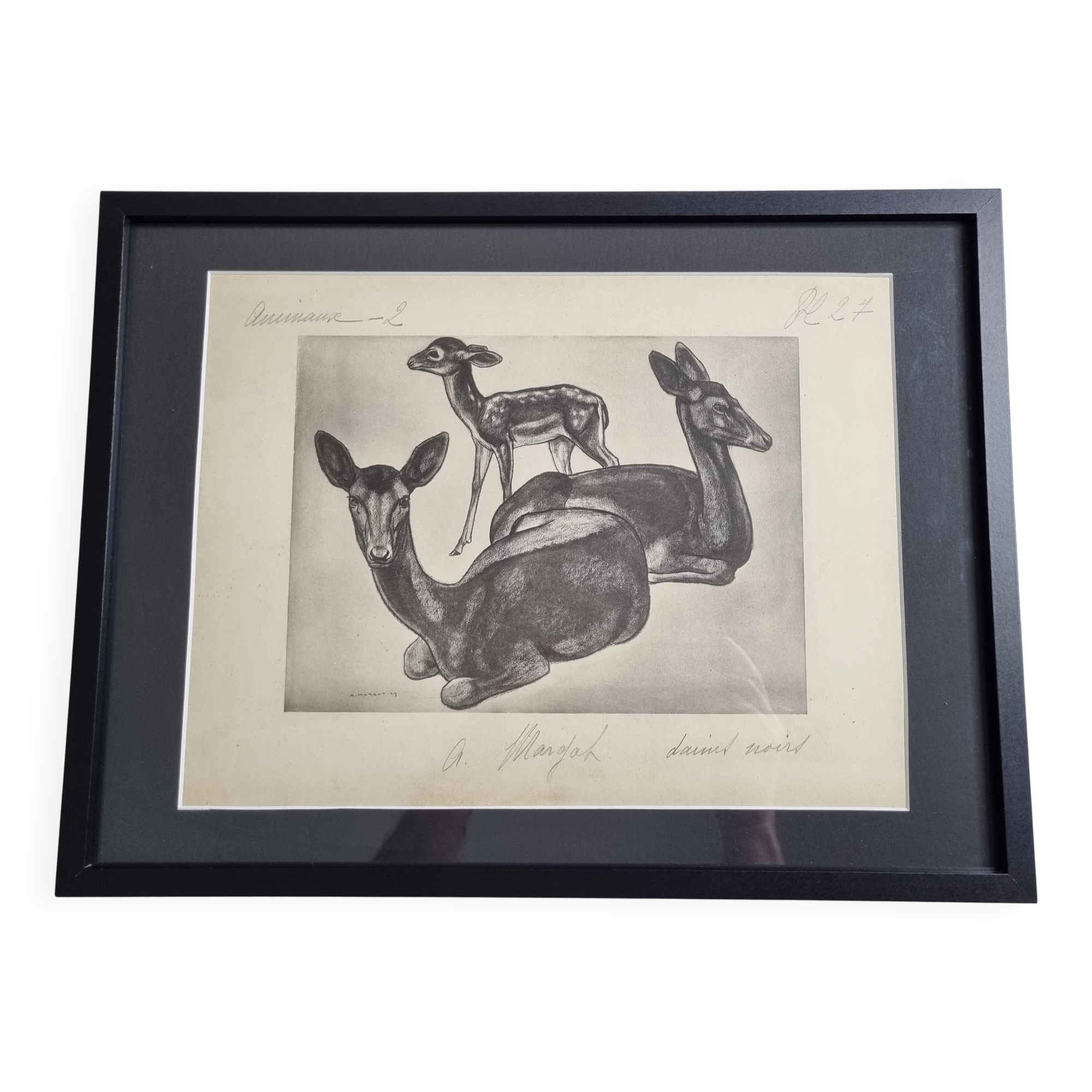 Illustrated plate, Studies of Black Fallow Deer, Signed André Margat, 1930-1950