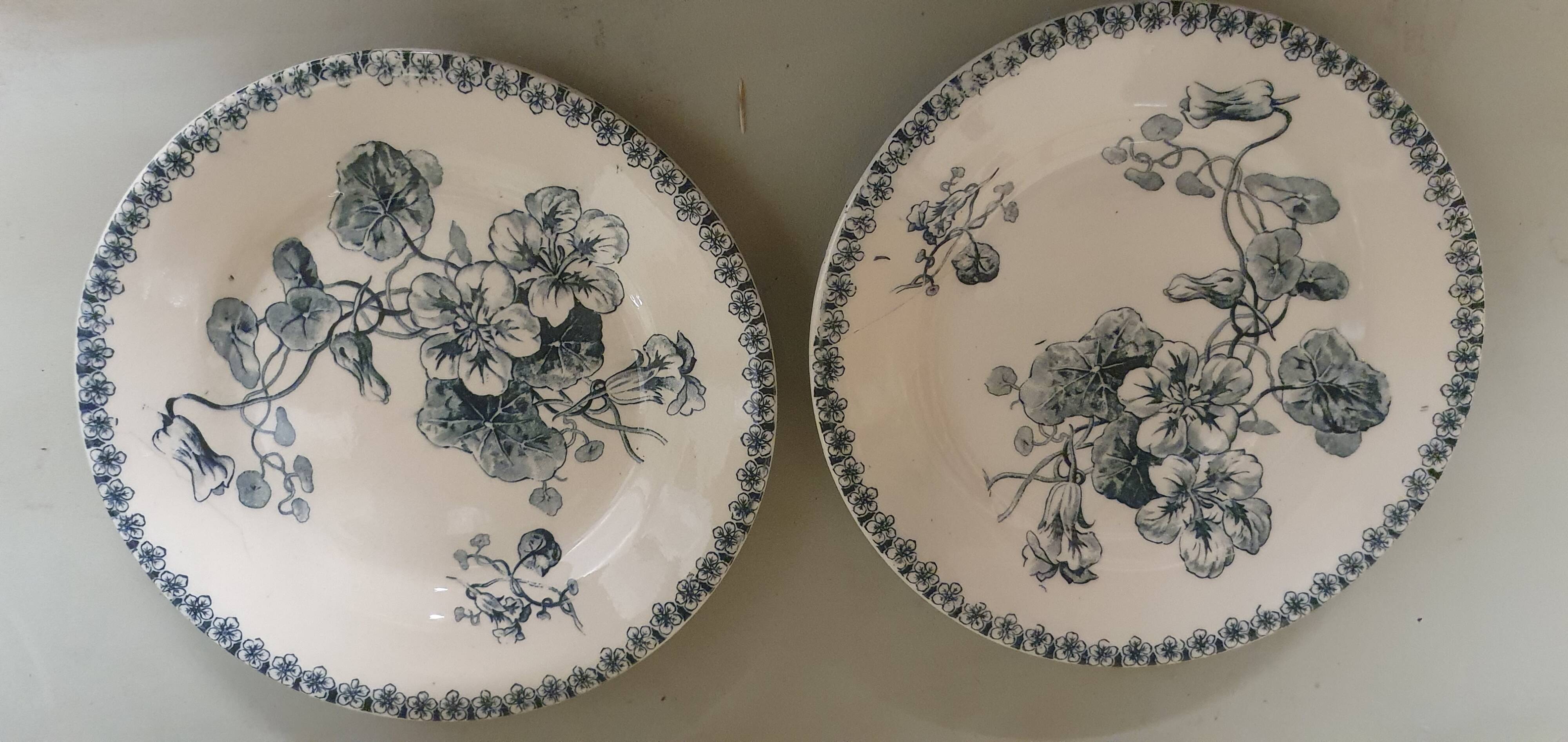 Assiettes terre de fer