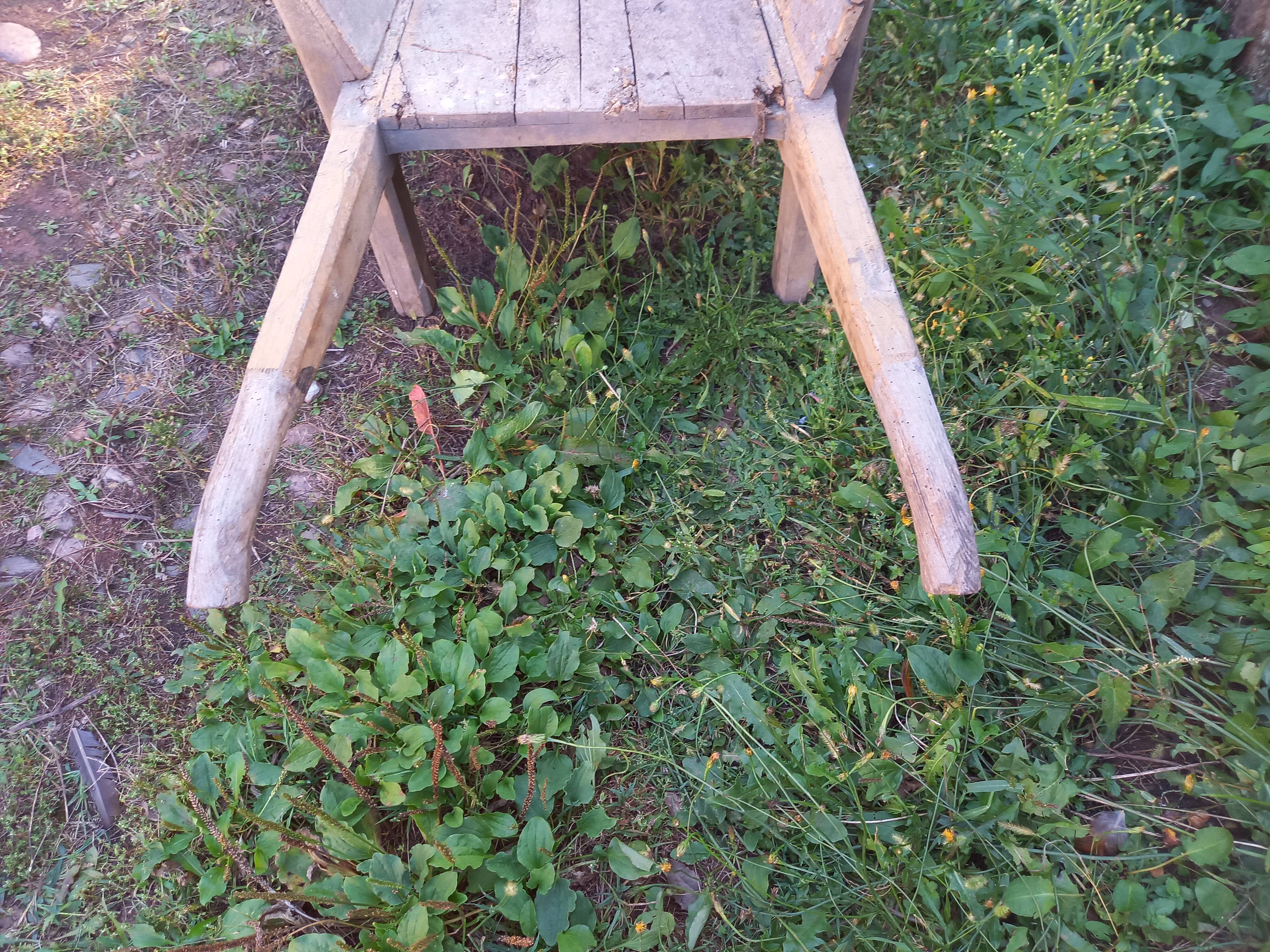 Wheelbarrow raw wood