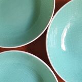Set of 11 hollow plates and flat Les Salins