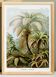 Poster about “tropical ferns”, based on an old lithograph