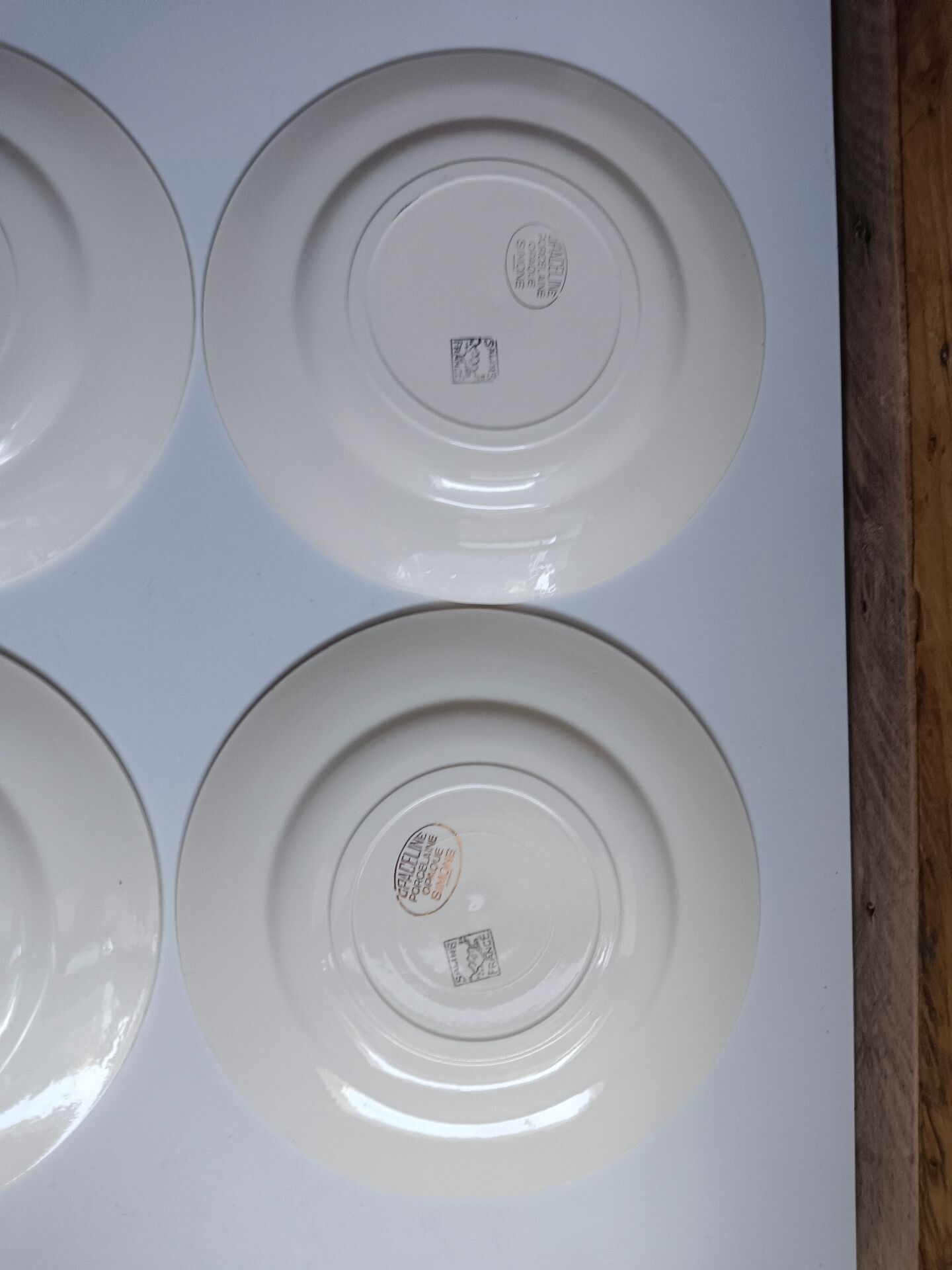 Set of 6 flat plates Salins model Simone beige with flowers.