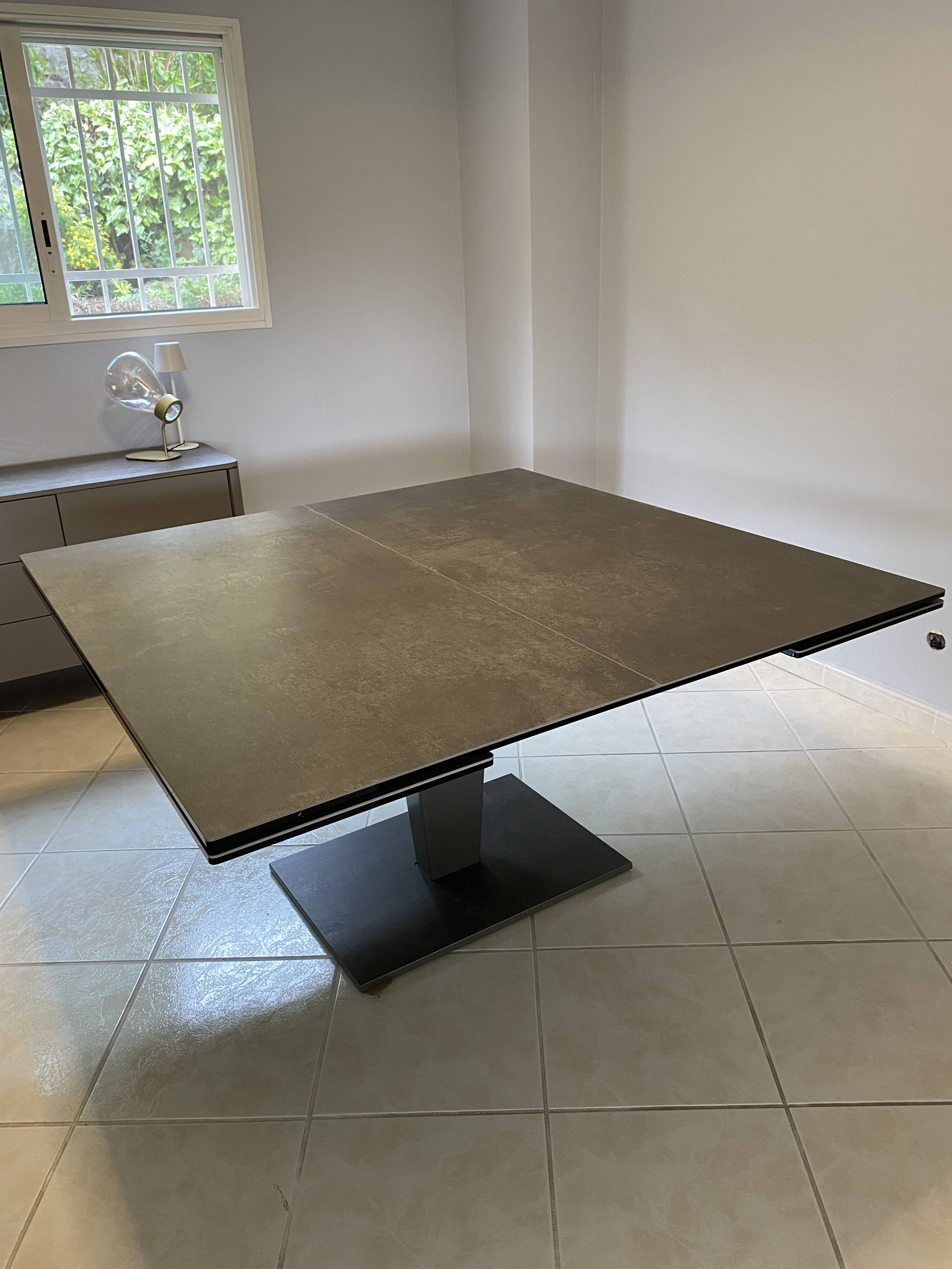 Roche Bobois table