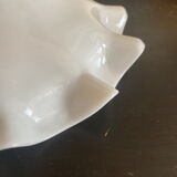 White opaline suspension