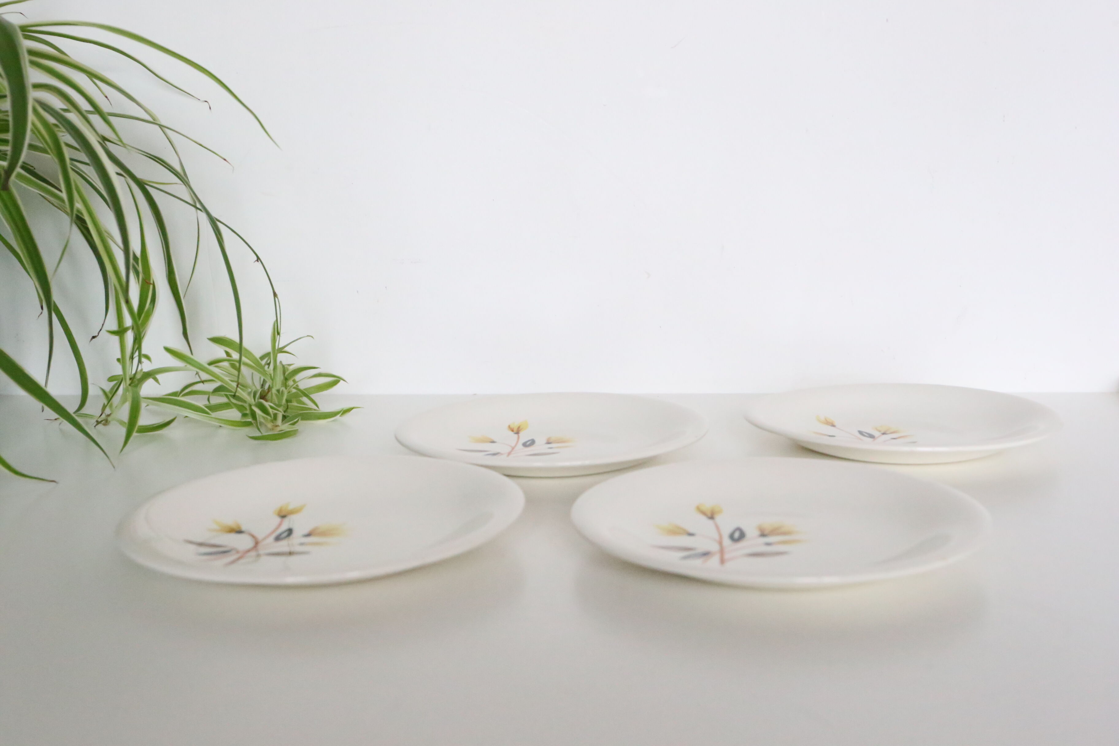 Dessert plates x4, Salins, vintage French