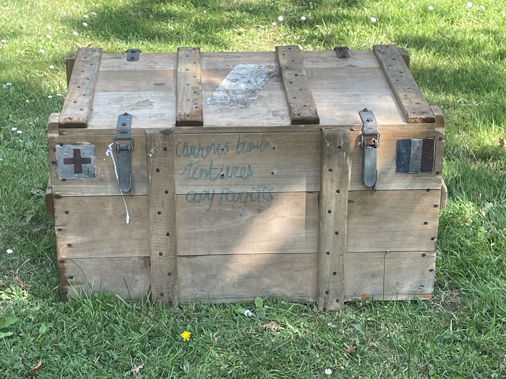 Trunk, natural wood box, very healthy