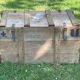 Trunk, natural wood box, very healthy