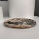 Very large empty pocket or petrified wooden flat