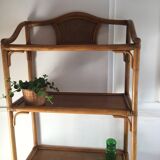 Rattan and canning library