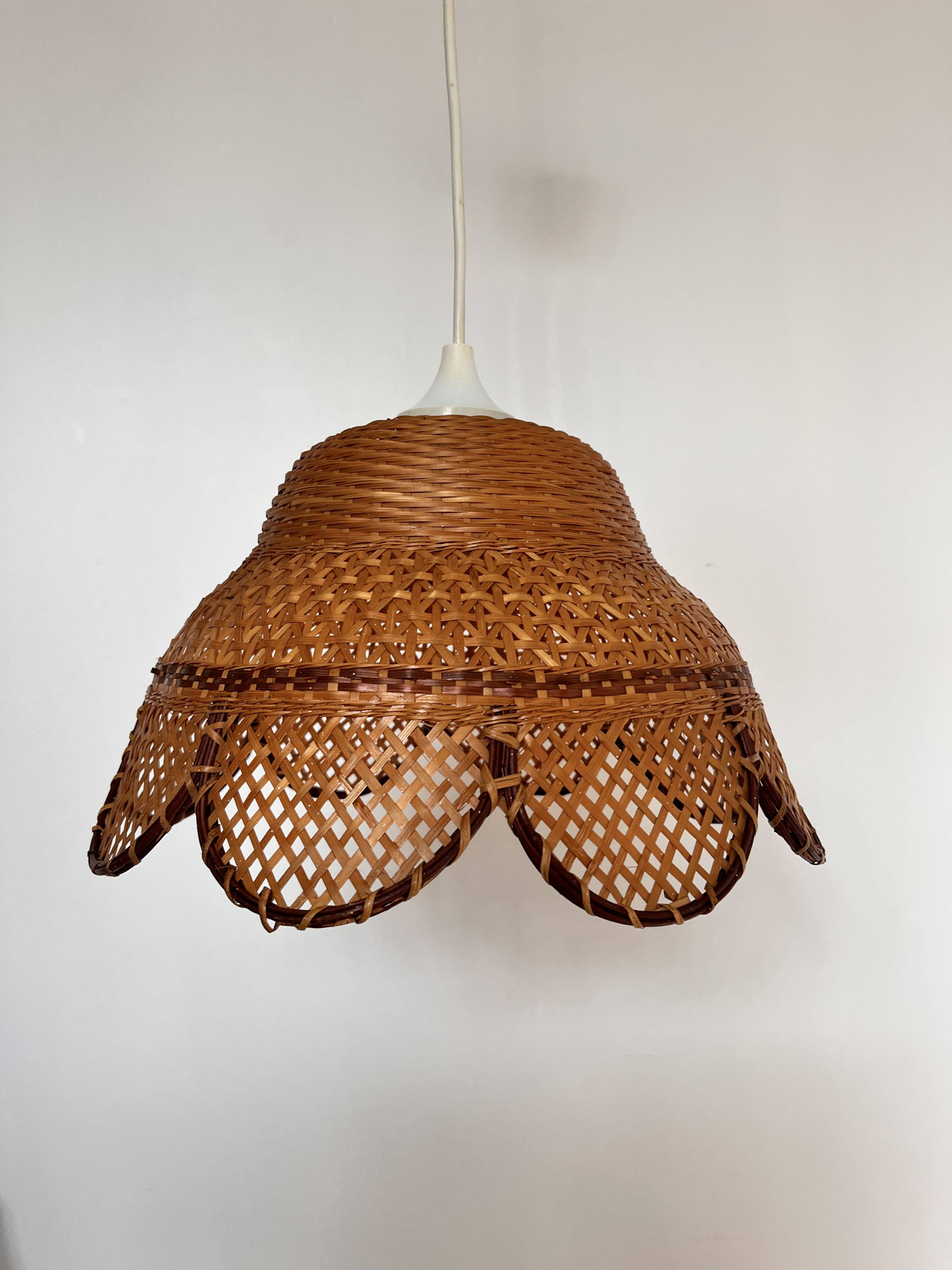 Wicker caning pendant light