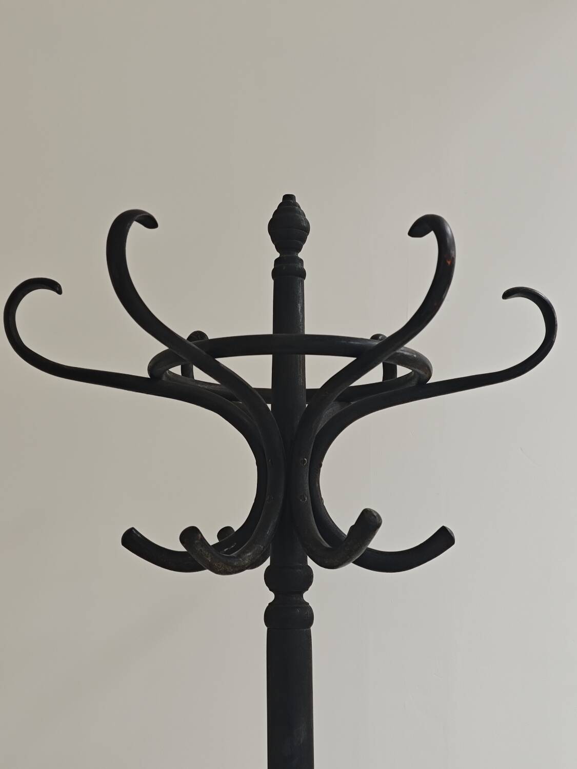 Porte manteau perroquet noir Baumann 1950