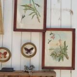 Hummingbirds Lithograph Duo