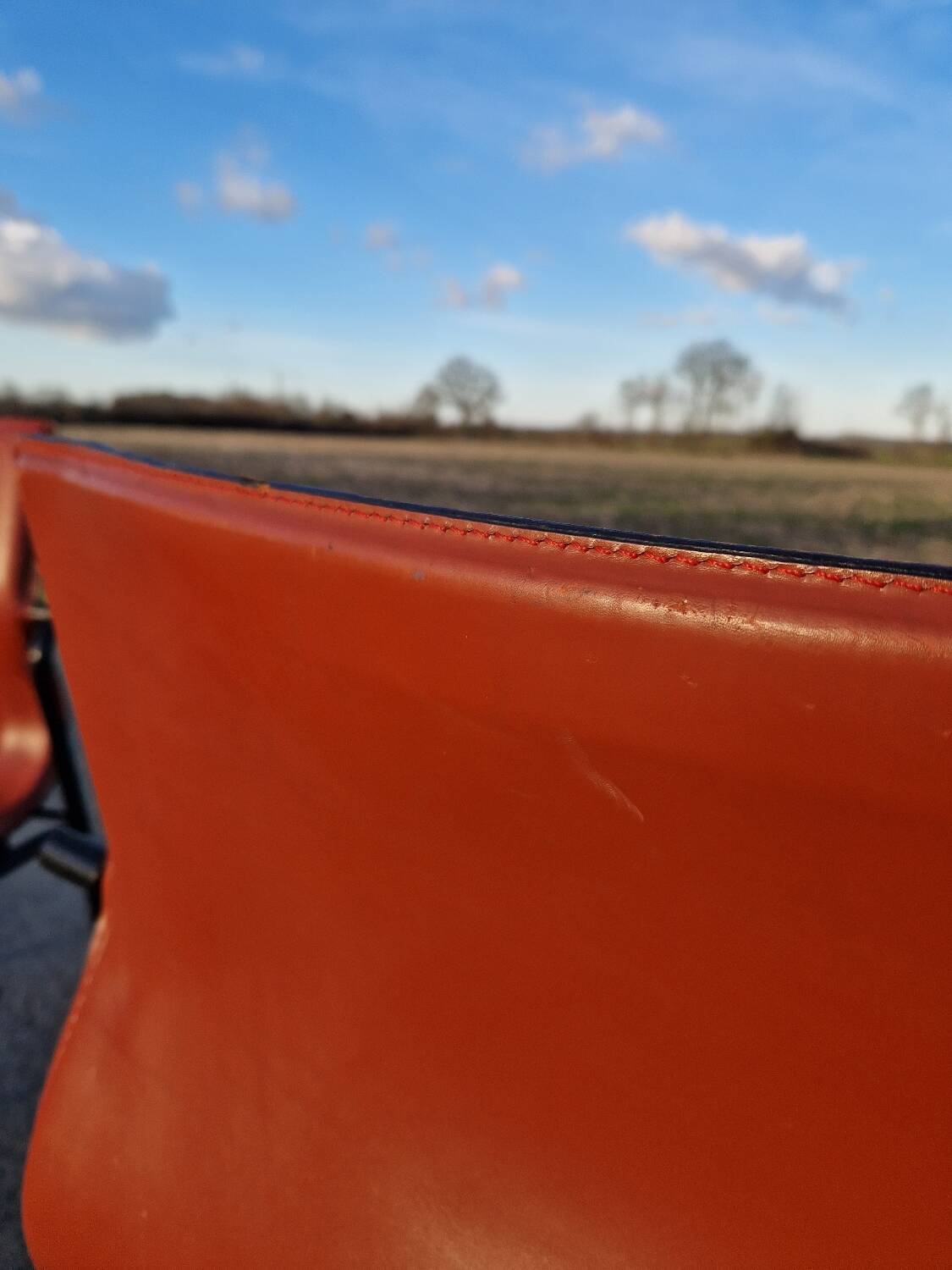 Lot de 2 chaises en cuir Matteo Grassi