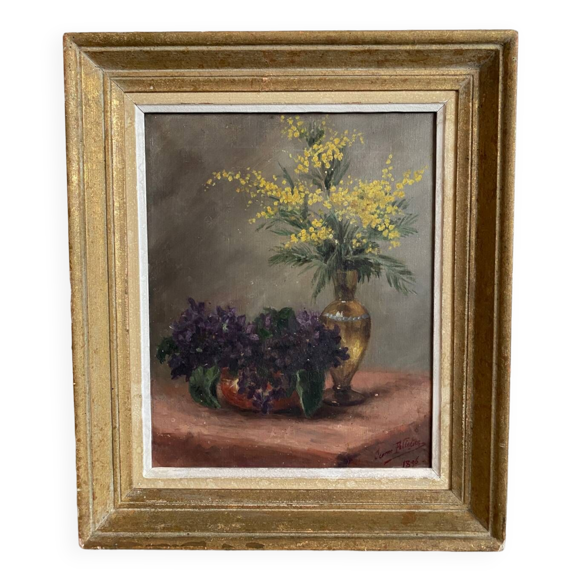 Still life with mimosa