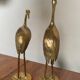 Herons laiton