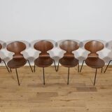 Ant Chair Model 3101 in Teak by Arne Jacobsen for Fritz Hansen, 1970s.