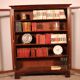 19th Century Mahogany Library