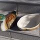 Boîte canard céramique
