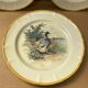 Set of 3 Old Ceramic Plates Decor H. ARNDT Rooster Hen & Duck #B188