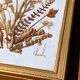 Vintage frame dried flowers