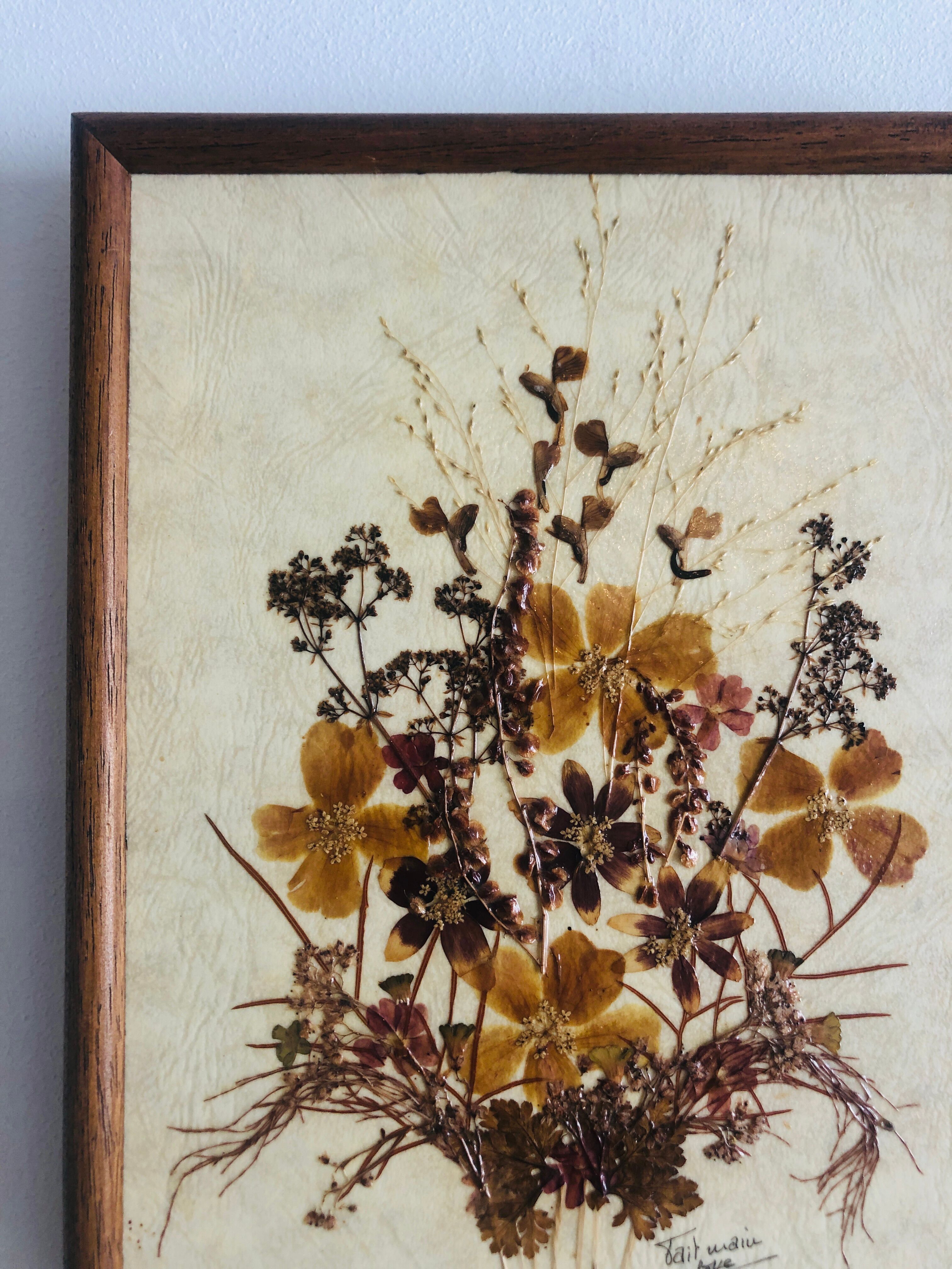 Frame dried flowers