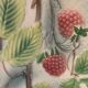 Fruit cup in Saint Clement dabbling