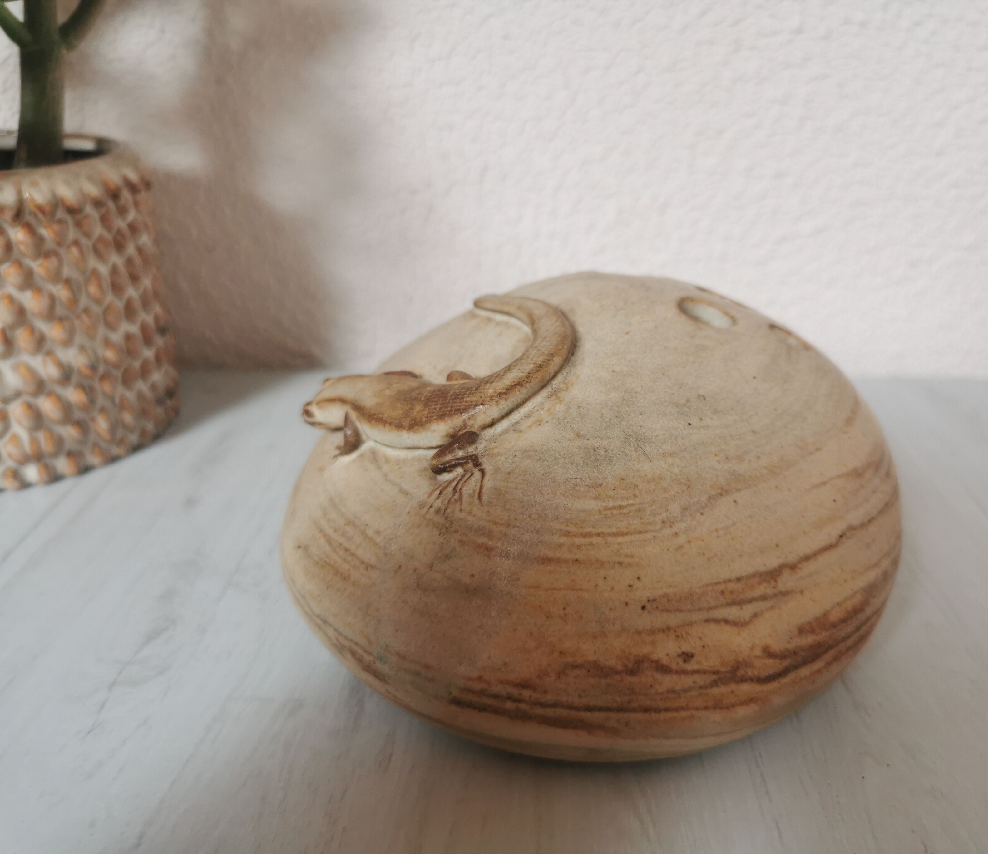 Pique flowers sandstone lizard